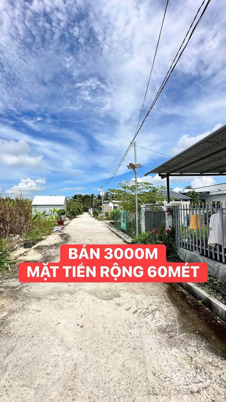 Bán Đất Vườn Cần Thơ 3000m² - Mặt Tiền Rộng 60m, Giá 4.5 Tỷ