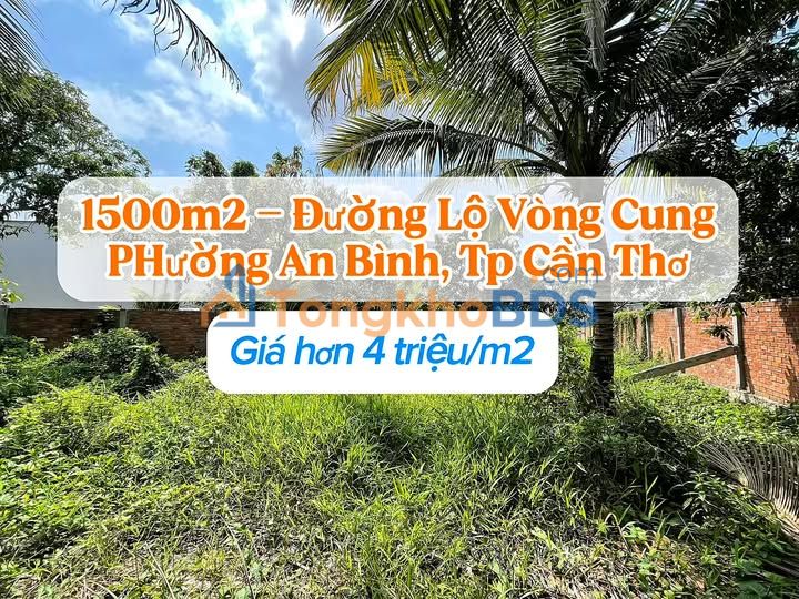 Đất Lộ Vòng Cung, Cần Thơ 1500m² - Giá Tốt, Tiềm Năng Khai Thác Cao