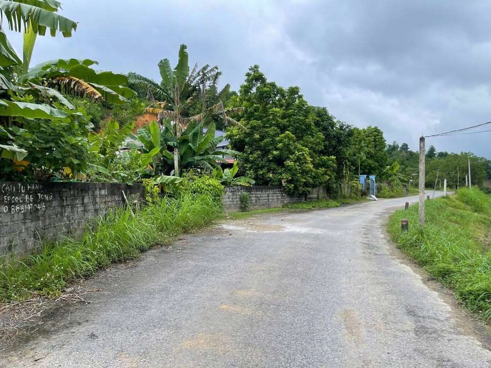 Đất Nền Yên Lập, Phú Thọ - 300m² Mặt Đường Nhựa, View Đồng Núi Chill