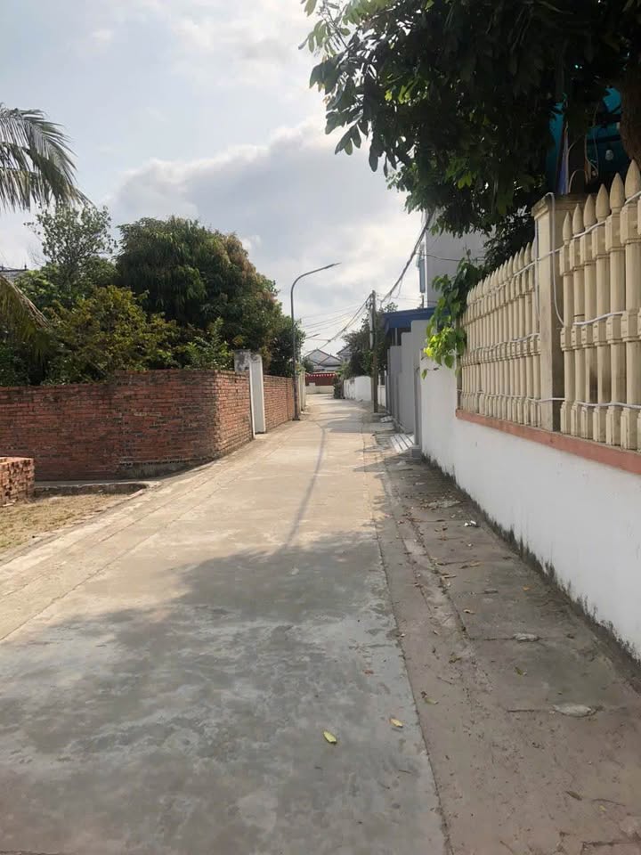 Bán Đất Nền 65m² Thôn Đại Hoàng, An Lão - Giá Tốt, Đường 5m