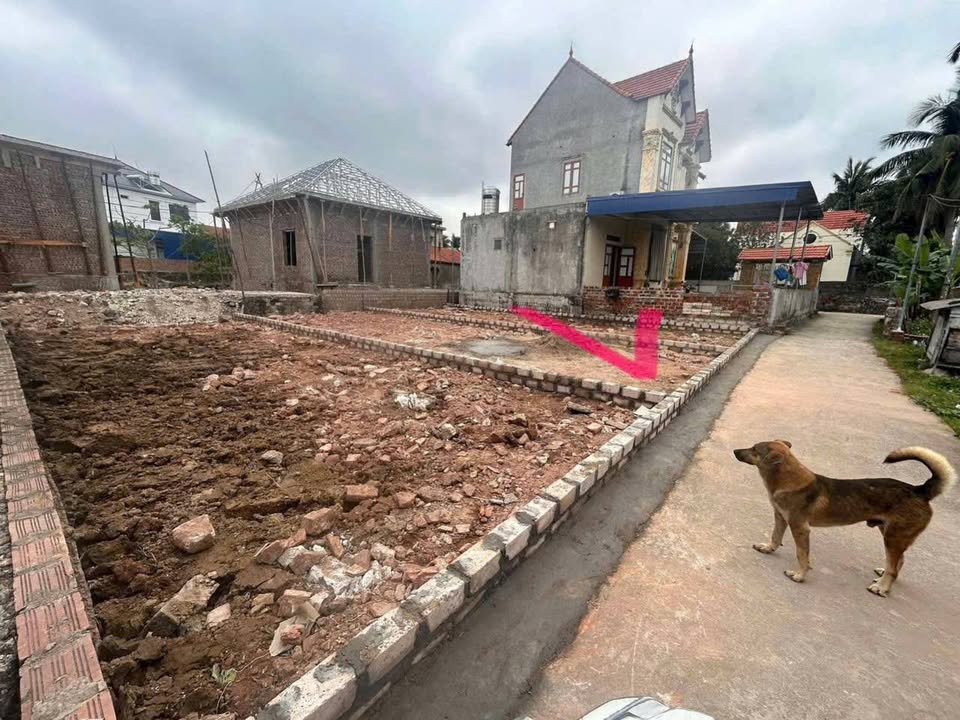 Đất Nền Thuỷ Nguyên 72m² - Sổ Hồng Chính Chủ, Giá Đầu Tư 1 Tỷ