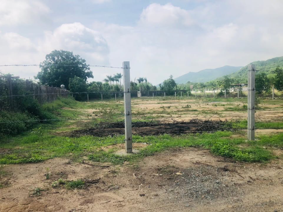 Đất Phước Hải 1100m² Sổ Hồng - 2 Mặt Tiền Đường 6m - Giá 2.1 Tỷ