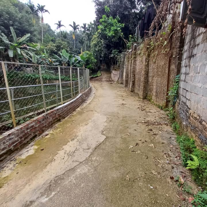 Đất tặng nhà 60m² Phường Cam Đường, Lào Cai - Giá 650 triệu