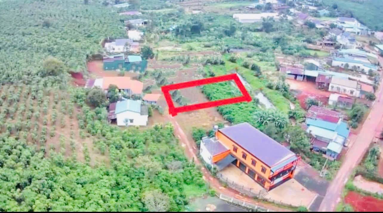 Đất Nghỉ Dưỡng Lộc Quảng, Bảo Lâm - 517m² Sổ Đỏ Full Thổ Cư