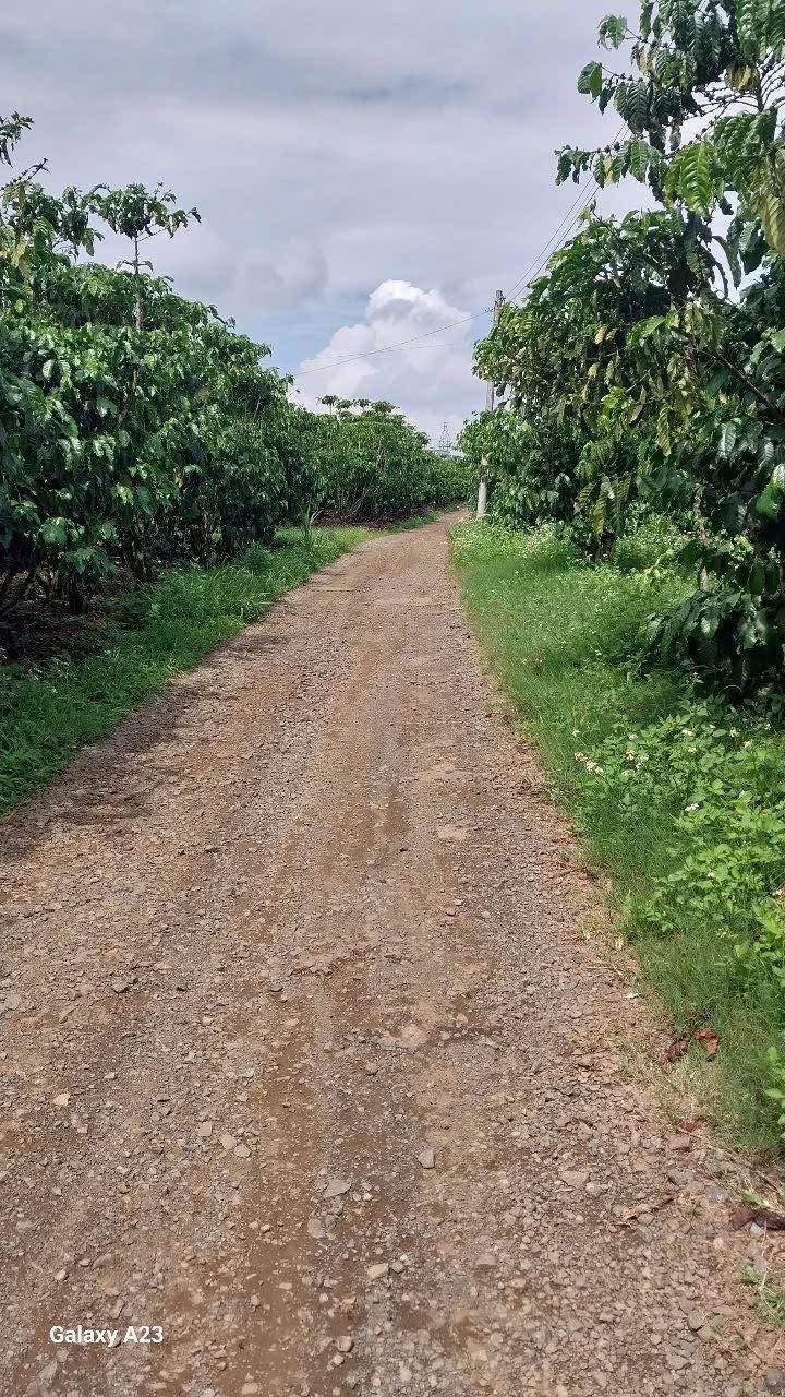 Đất Nền Bảo Lâm 1009m² - Mặt Tiền Rộng, Sẵn Sàng Xây Nhà