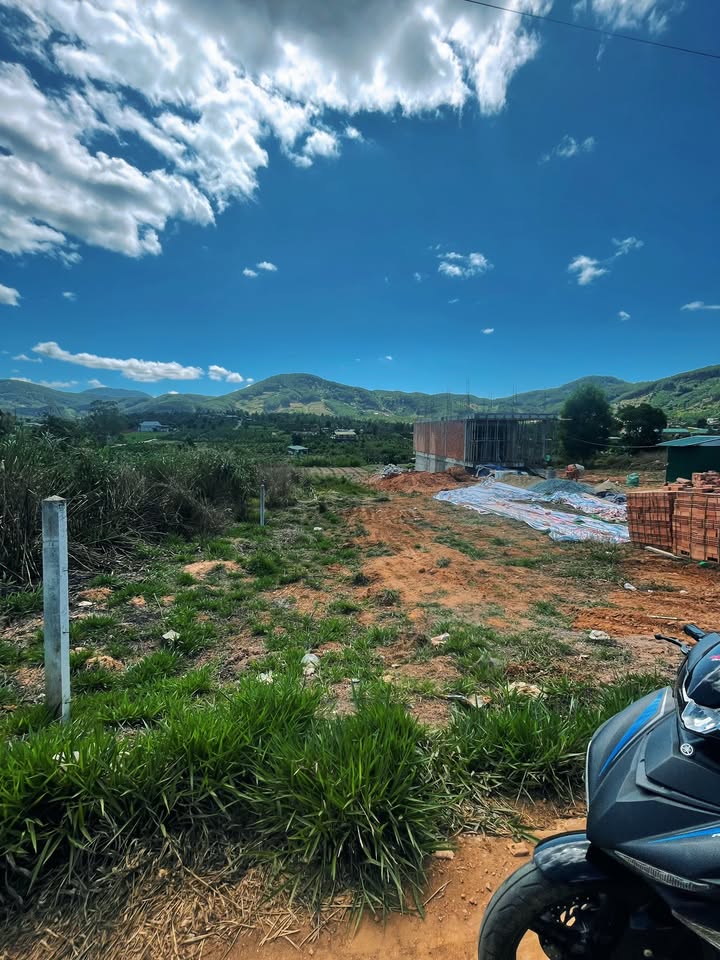 Đất Nền Lâm Hà, Lâm Đồng - 294m² View Đồi Núi, Sổ Sẵn 1.15 Tỷ