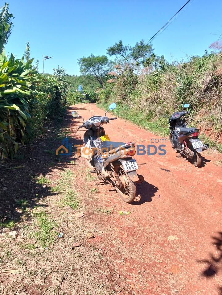 Bán Đất Vườn Xã Đinh Trang Hòa, Di Linh - 300 Triệu/Sào