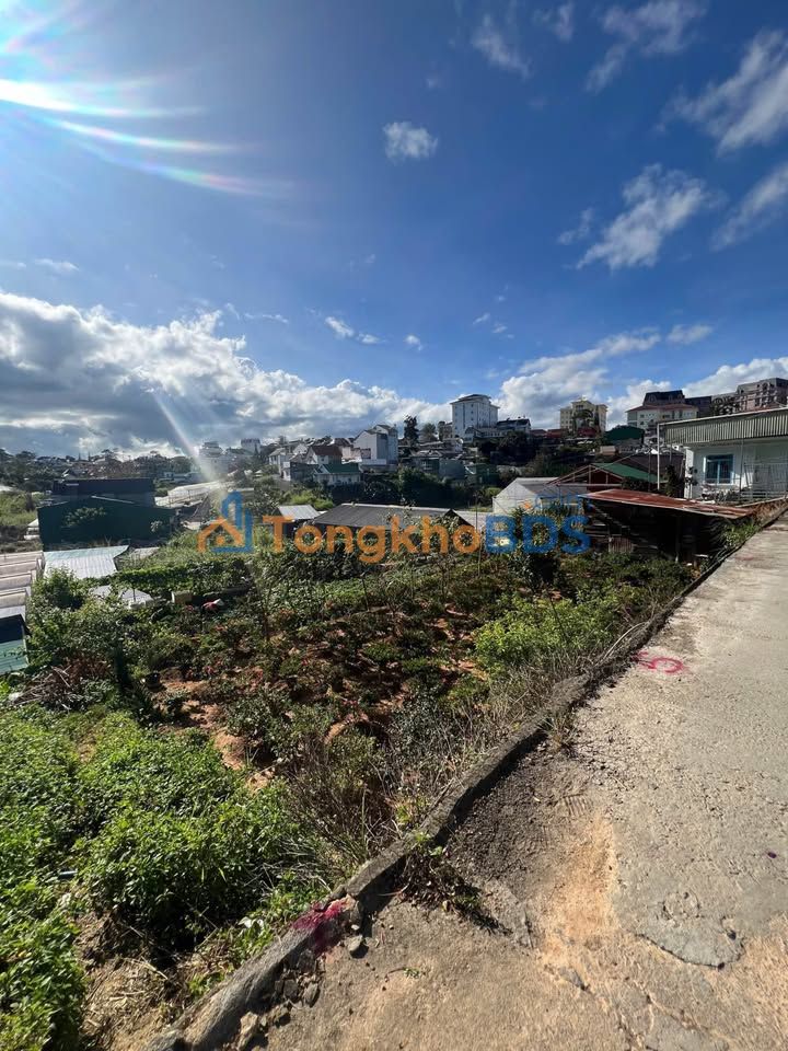 Đất nền Đà Lạt - Trần Thái Tông, 80m² - Sổ NNPQ, Giá 1.4 Tỷ