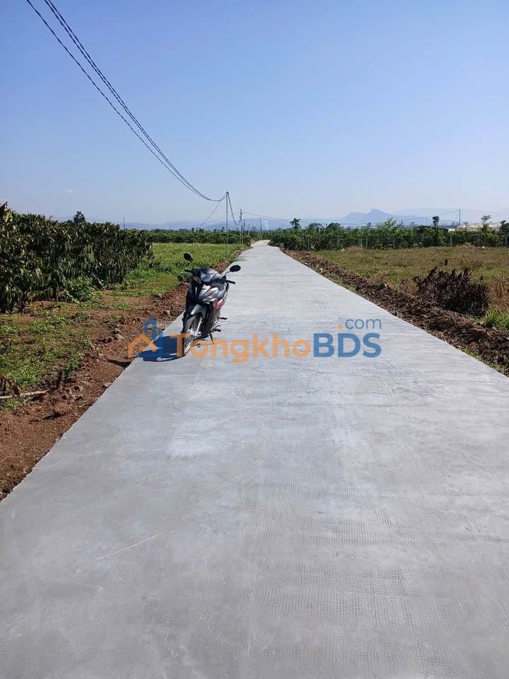 Đất Nền Lâm Hà 6000m² - Sổ Sẵn, Nở Hậu, Giá 450 Triệu Đầu Tư