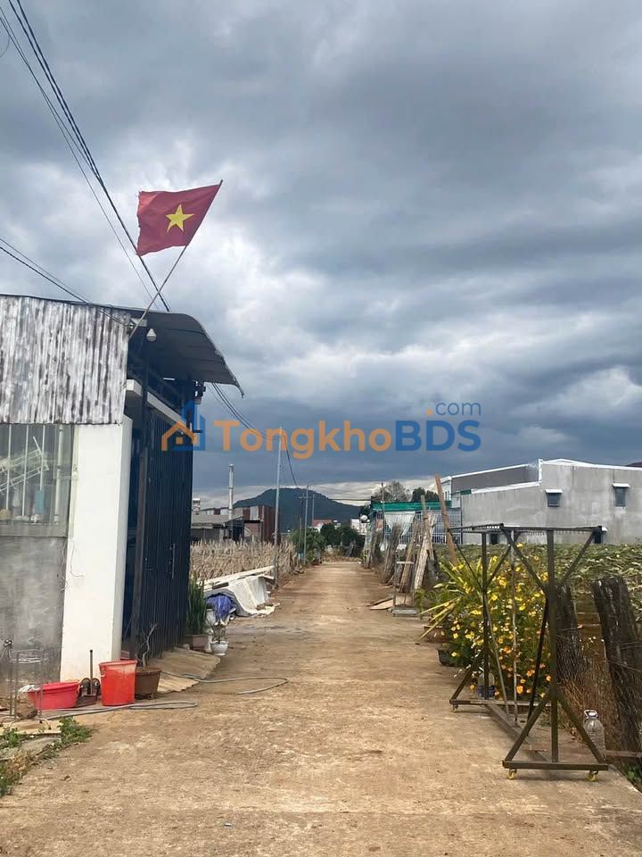 Đất nền Đức Trọng 65m² Sổ đỏ chính chủ - Giá 1.1 tỷ