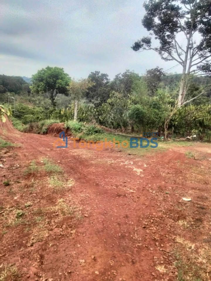 Bán Đất Nghĩa Phú, Gia Nghĩa 180m² - Sổ Đỏ Sẵn Sàng, Giá 330 Triệu