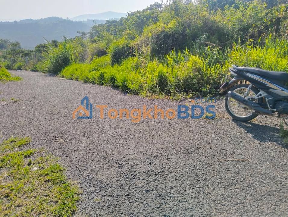 Đất Vườn Lộc Nam, Bảo Lâm 1.3ha - View Hồ, Full Thổ Cư, Giá 13 Tỷ