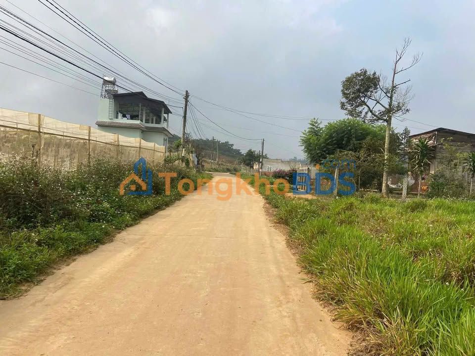 Đất Vàng Đà Loan, Lâm Đồng - 250m², Sổ Hồng, Gần Chợ, Giá 1.3 Tỷ