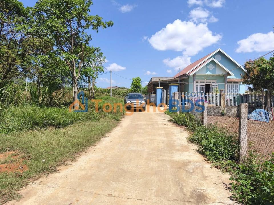 Đất Vườn Đà Lạt 1000m² Sổ Hồng - Giá Tốt 1.45 Tỷ