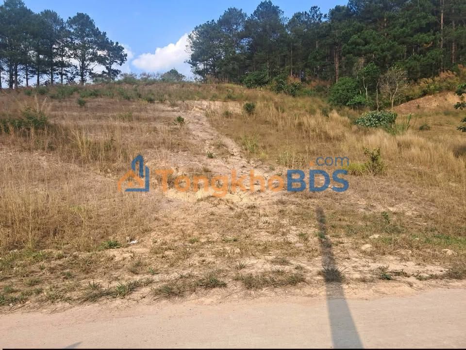 Đất Vườn Lâm Hà - 4000m² Mặt Tiền Đường Lớn, Giá 4.5 Tỷ