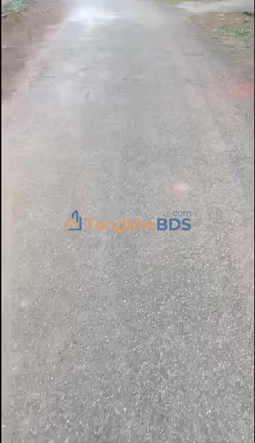 Bán Đất Thổ Cư 150m² Xã Thành Tân, Thanh Hóa - Sẵn Sổ, Giá Tốt