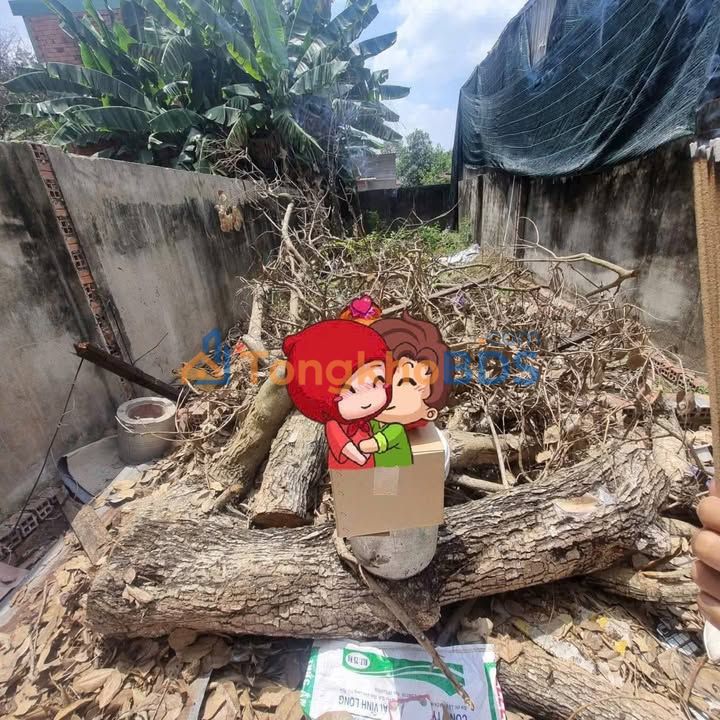 Bán Gấp Đất Hóc Môn 51m² Sổ Hồng Riêng, Giá 1.98 Tỷ