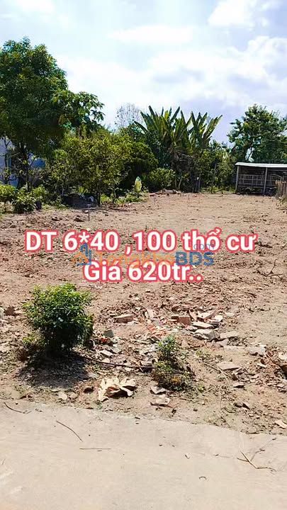 Bán Đất Phú Hòa, Đồng Nai - 240m² Sổ Hồng Riêng - Giá 620 Triệu