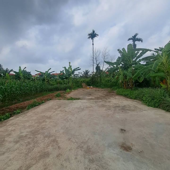 Đất nền Thanh Xuân Bắc 140m² hướng Đông - Đầu tư sinh lời