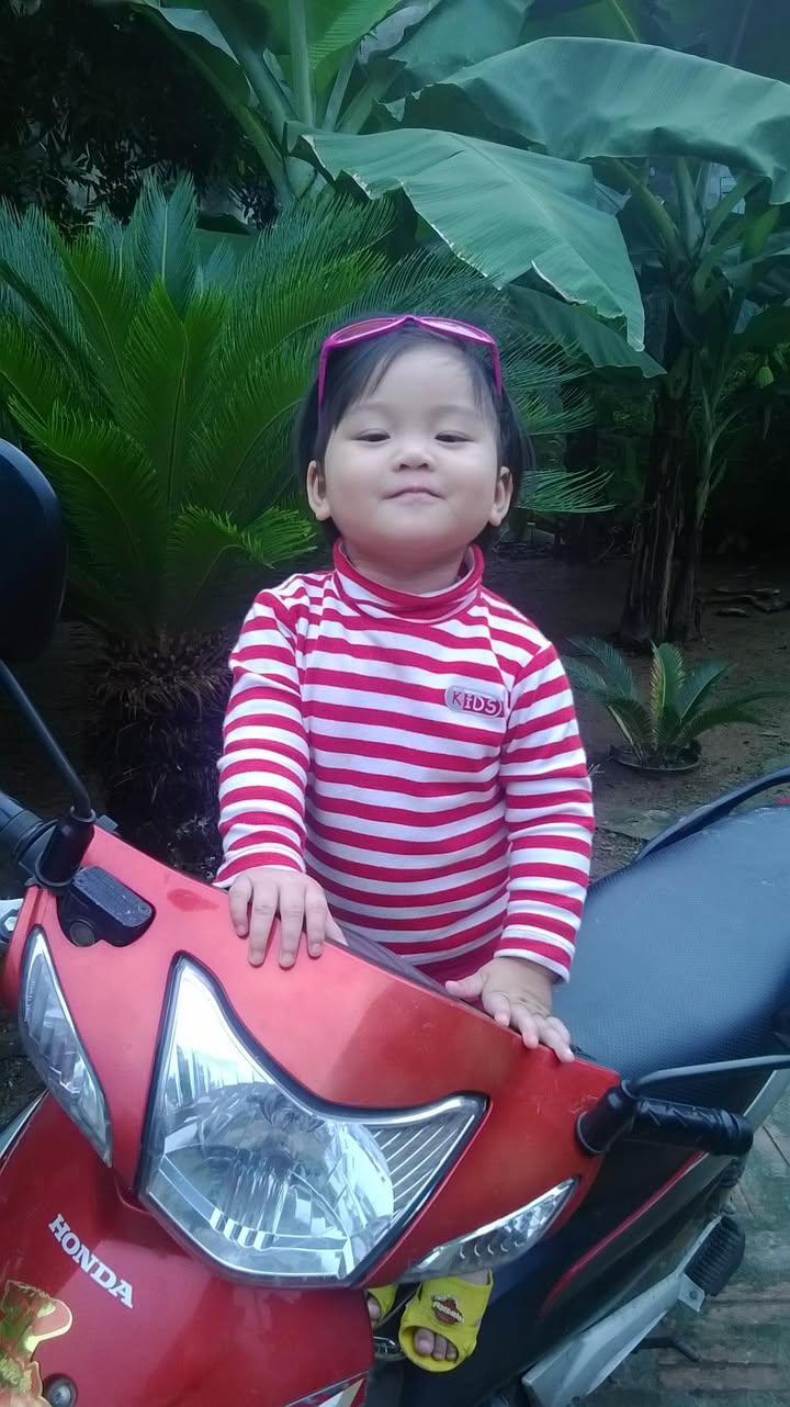 Đất Vàng Lai Sơn - Vĩnh Yên 180m² Mặt Tiền 6m - Giá 1.6 Tỷ