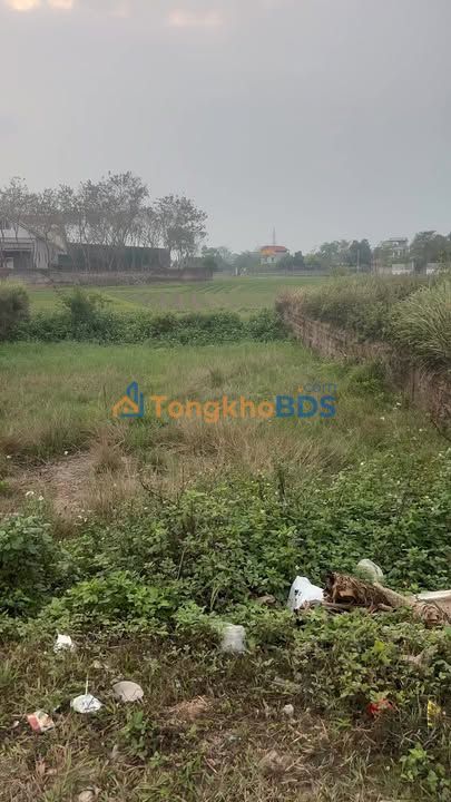 Bán Đất Thổ Cư 73.6m² Hiệp Hòa, Bắc Ninh - Kinh Doanh Đa Ngành