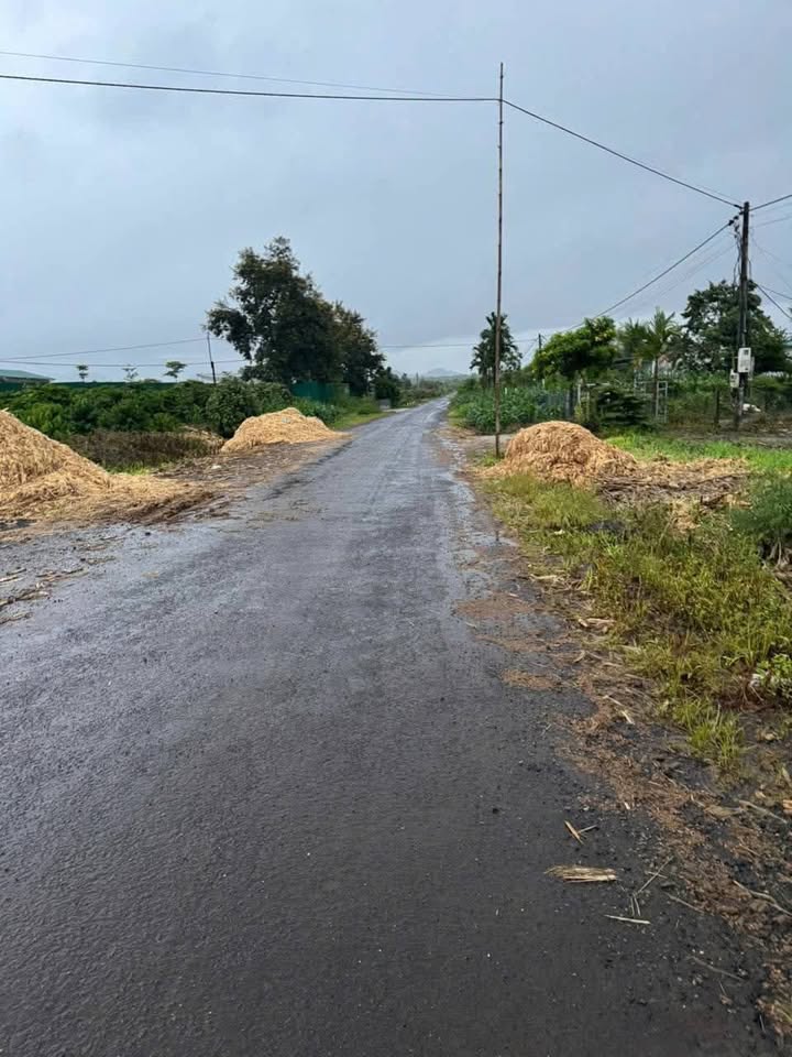 Bán Gấp Đất Nền 947m² Đường Quảng Hiệp, Tân Bình - Giá 500 Triệu