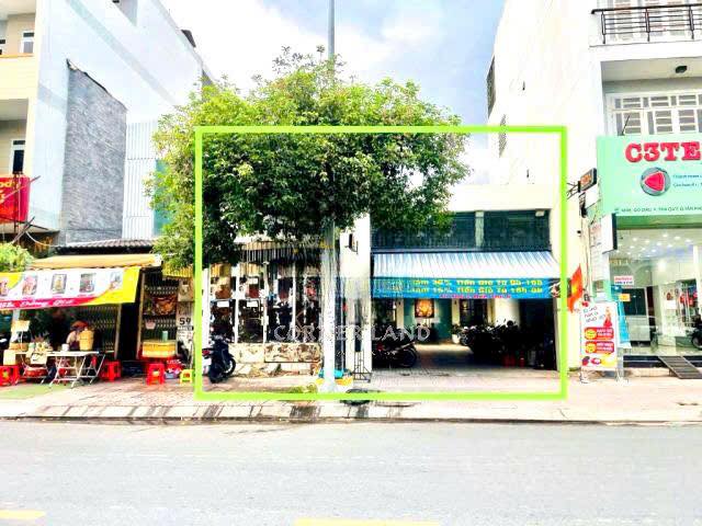 Mặt Tiền Gò Dầu Tân Phú 1200m² - Kinh Doanh Sầm Uất