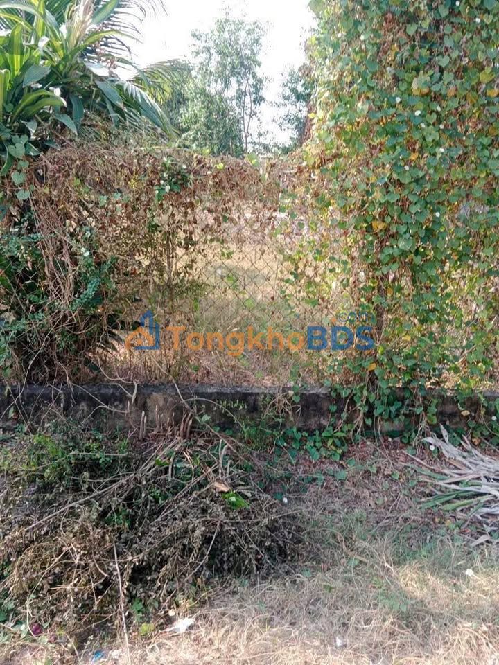 Bán Đất Nền 192m² Phường Hiệp Tân, Tây Ninh - Sổ Hồng Sẵn Sàng