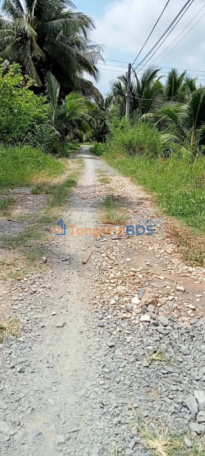 Bán Đất 2000m² Đường Hoa Lâm, Bình Tân - Giá 1.05 Tỷ