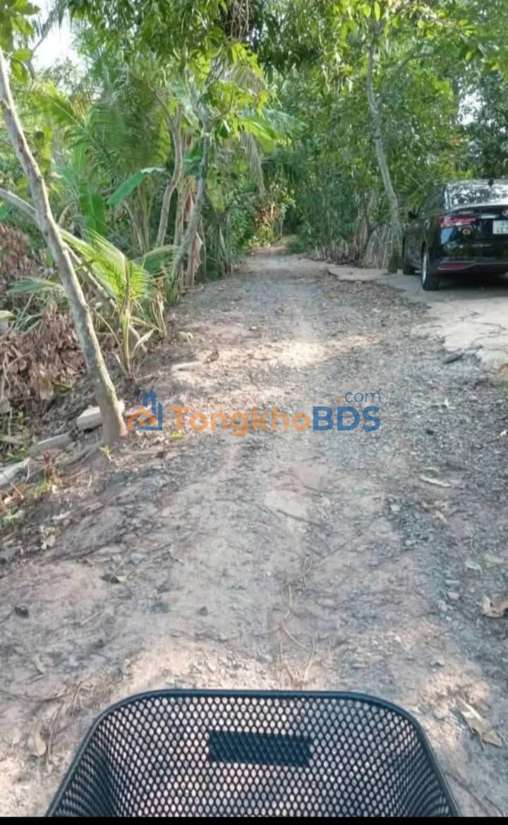 Bán Nền Đất Phường 3 Cao Lãnh 126m² - Giá 550 Triệu - Sổ Thổ Cư