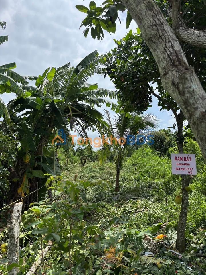 Đất Nền Phú Thanh 200m² Sổ Hồng Riêng - Giá 950 Triệu