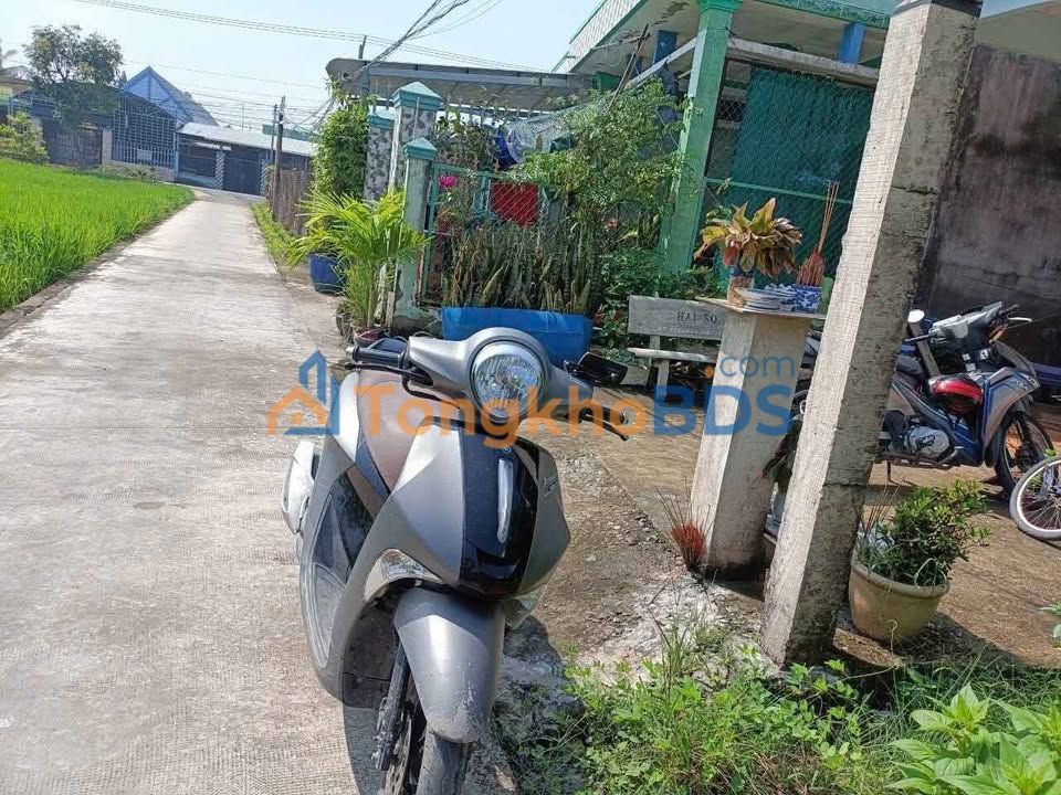 Nhà Chính Chủ 1.5 Tỷ Mỹ Lộc Cần Giuộc - 104m² Sẵn Sàng Ở Ngay