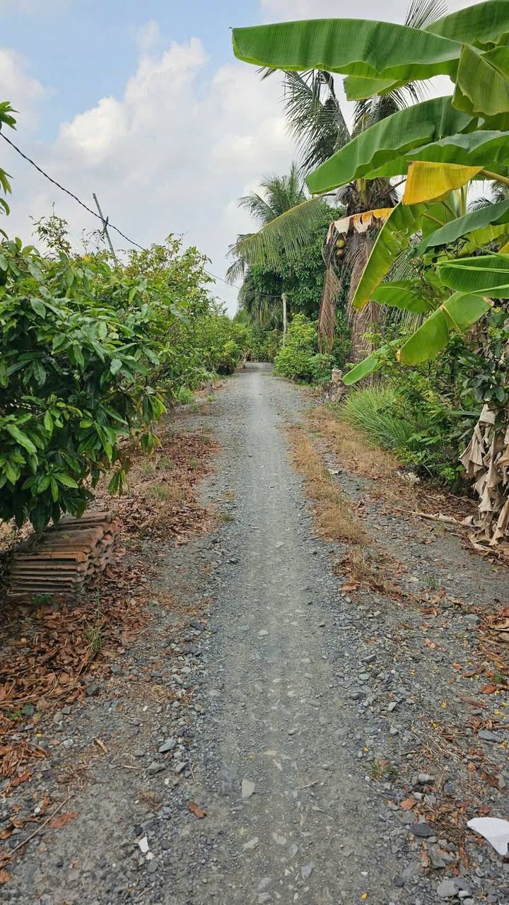 Đất Vườn Long An 400m² - Sổ Sẵn 200 Triệu, Cách SG 30km