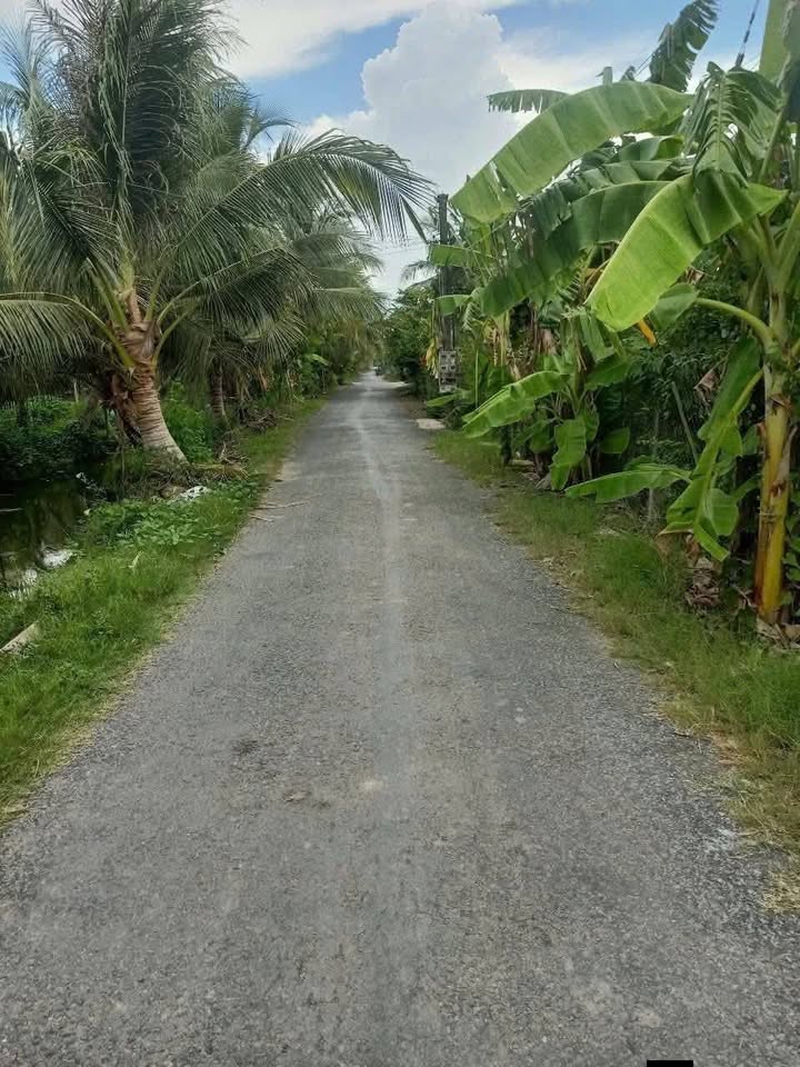 Bán Đất Thổ Cư Trung Hòa, Chợ Gạo, Tiền Giang - 600m² Giá Tốt