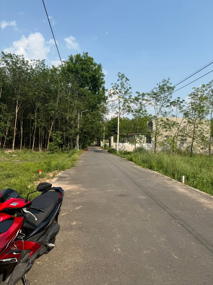 Đất nền Chánh Phú Hòa, Bến Cát - 180m² thổ cư, Sẵn sổ, Giá 1.35 tỷ