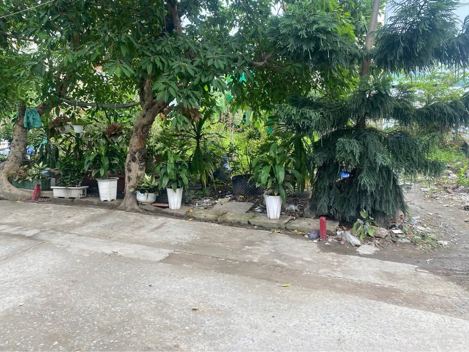 Đất nền Long Trường, TP. Thủ Đức 54m² - Sổ hồng full thổ cư, giá 3.6 tỷ