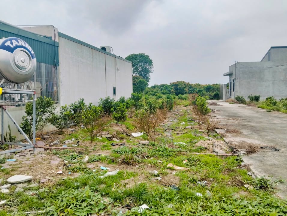 Đất Thổ Cư Tặng Vườn 100m² Xã Thanh Hà, Hải Dương - Lô Góc 2 Mặt Tiền