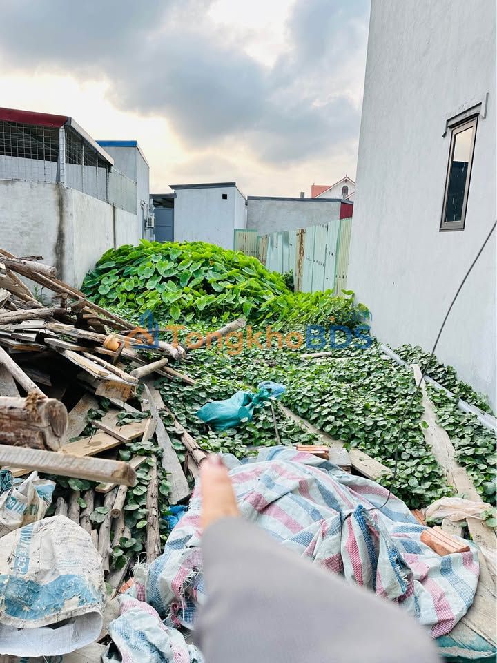 Đất nền 92m² Bắc Hưng, Tiên Lãng, Hải Phòng - Sổ đỏ sẵn sàng, gần chợ 200m