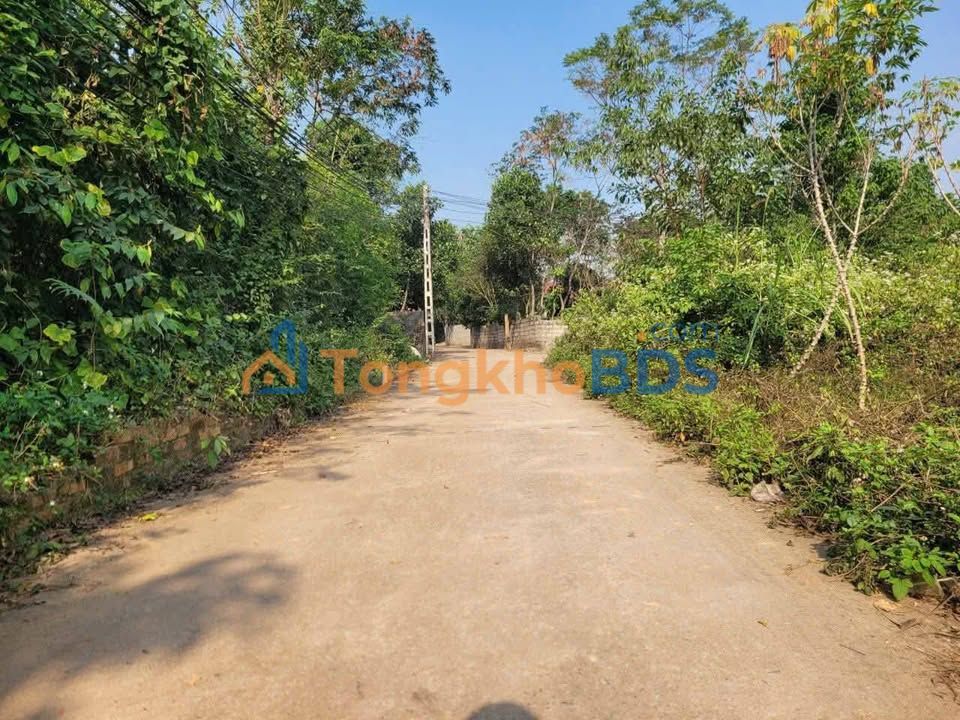 Đất Vĩnh Phúc 1100m² - Mặt Tiền Rộng 31.5m - Gần KCN Tam Dương