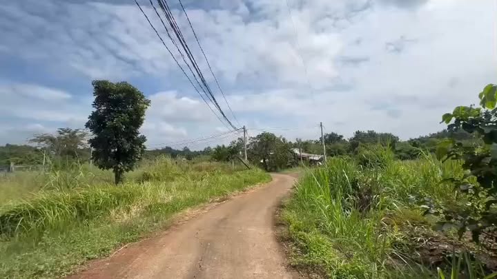Đất Vườn Bình Phước 1000m² - Giá Tốt Đầu Tư Tại Bình Long