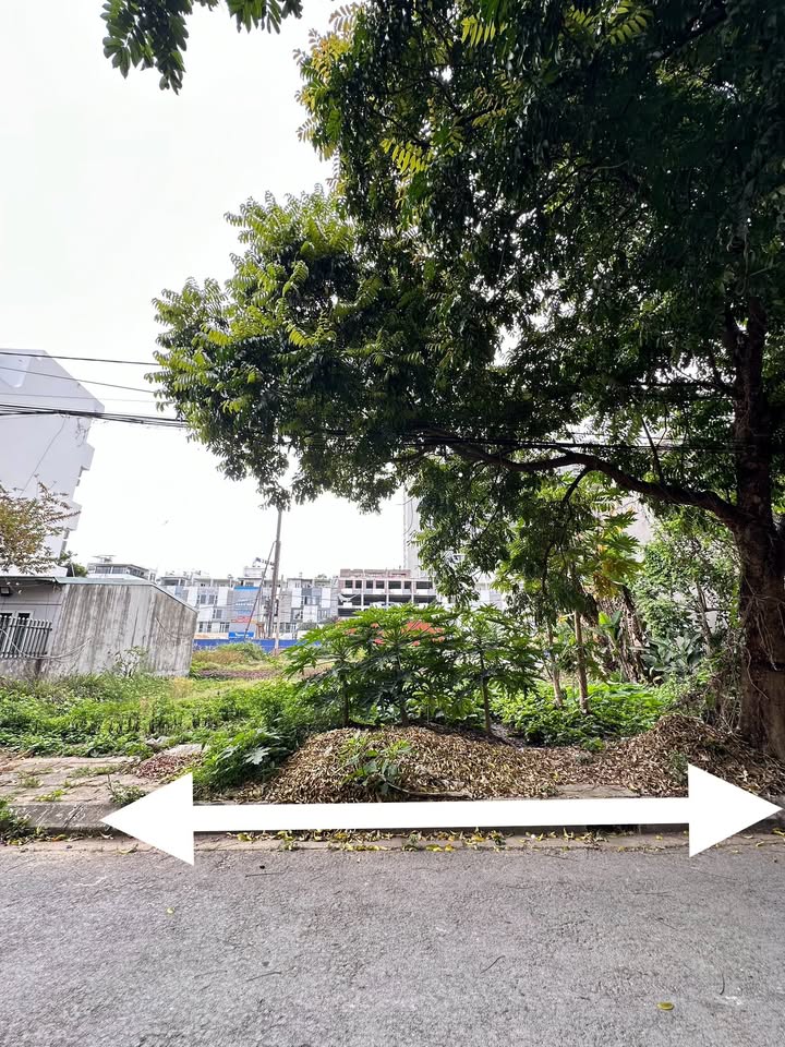 Đất nền xây biệt thự 121m² đường Bùi Viện, Hải An - Sổ đỏ sẵn sàng