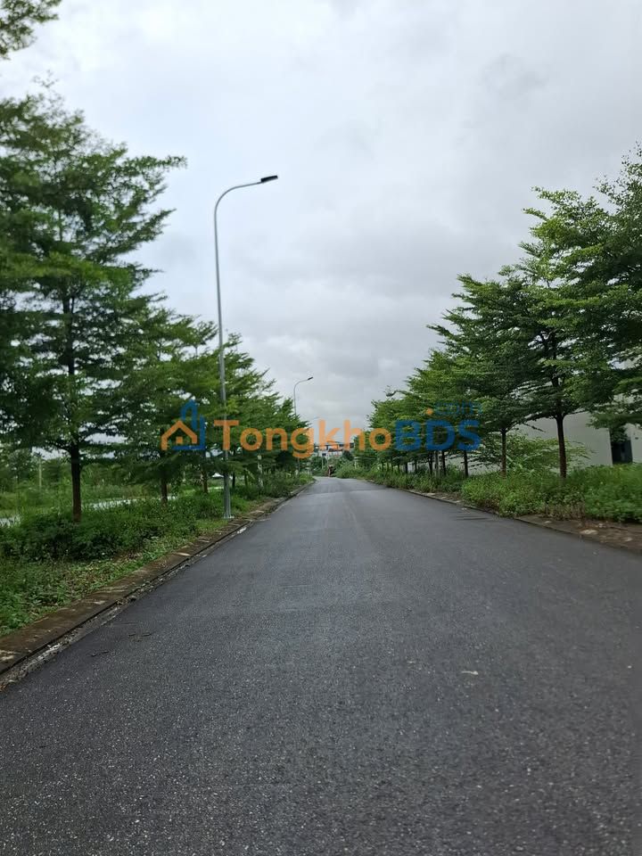 Bán Đất Gia Thịnh, Ninh Bình 109m² - Mặt Tiền Kinh Doanh Đắc Địa