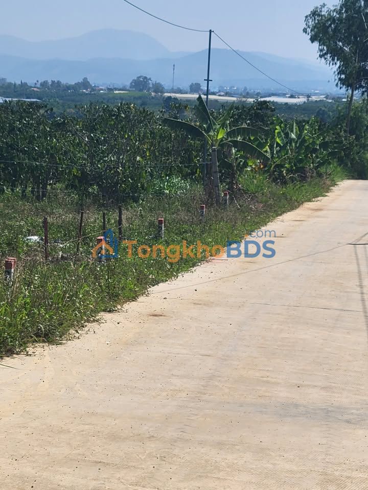 Đất Nền Lâm Hà - Sổ Đỏ 225m² Giá 415 Triệu - Cơ Hội Đầu Tư Cuối Cùng