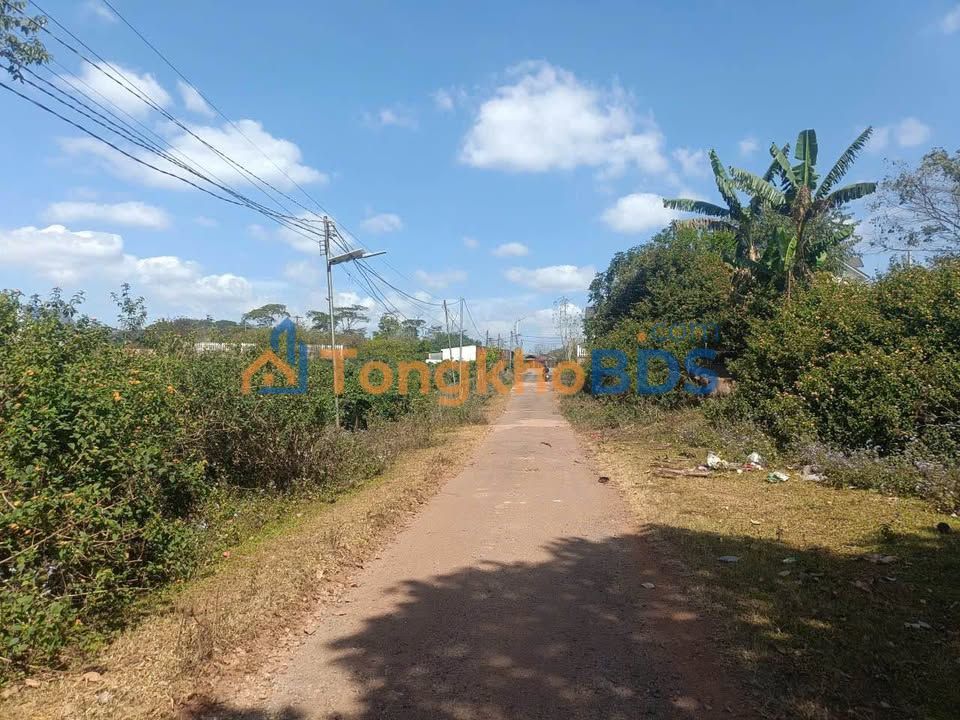 Đất Nền Đà Lạt 216m² Sổ Hồng Riêng - View Đỉnh, Gần Villa Mây Lang Thang