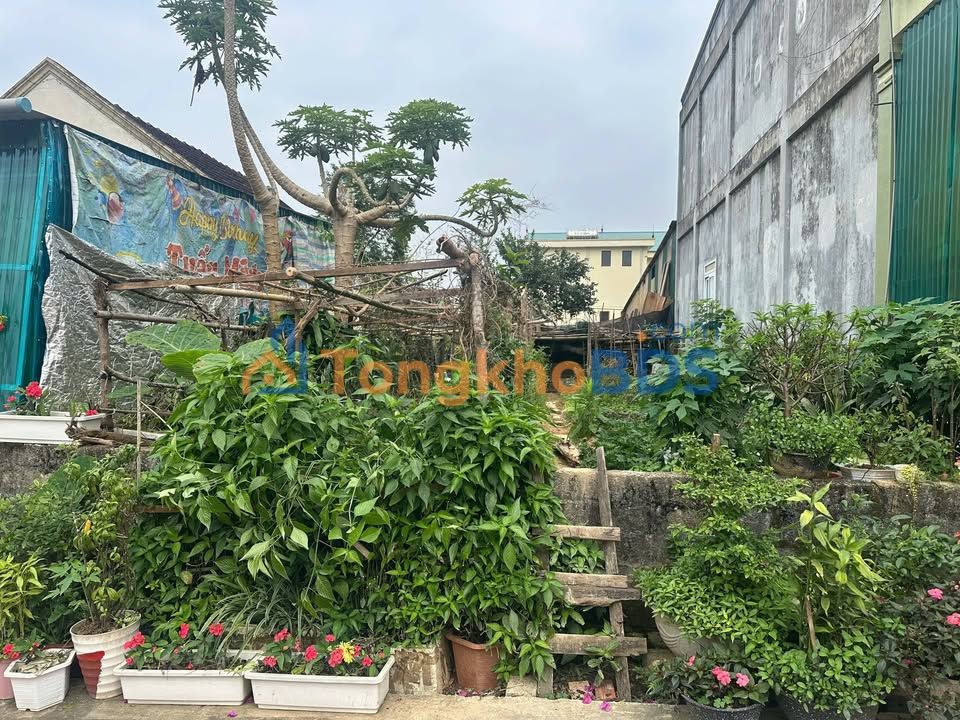 Đất thổ cư 102m² Thị trấn Tân Kỳ, Nghệ An - Sổ hồng sẵn sàng