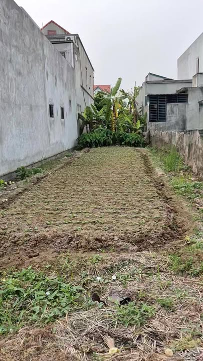 Đất nền Xóm 20 Khánh Hội Yên Khánh 110m² - Tiềm năng tăng giá