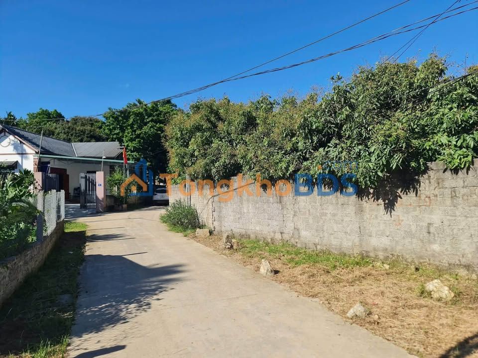 Đất Ba Vì 4000m² - Lưng Tựa Núi, View Hồ, Giá Đầu Tư