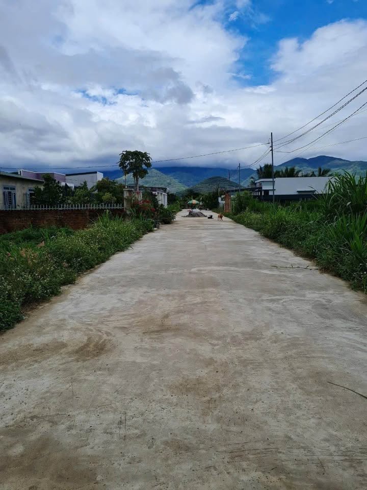 Đất Vườn Diên Sơn 216m² - Full Thổ Cư, Đường Ô Tô Thoáng - Giá 1.75 Tỷ