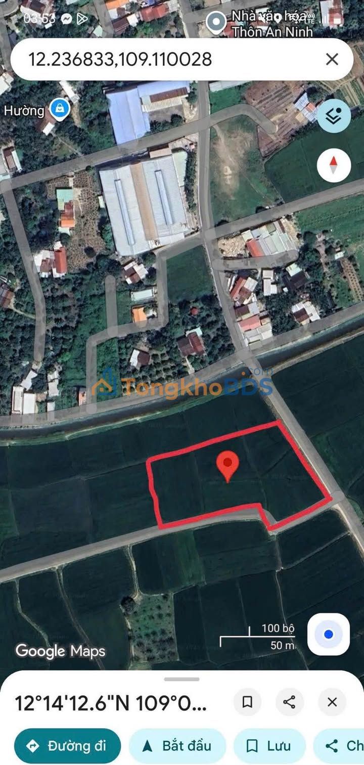 Đất Vườn Diên Khánh 10000m² Sổ Cũ Giá Đầu Tư