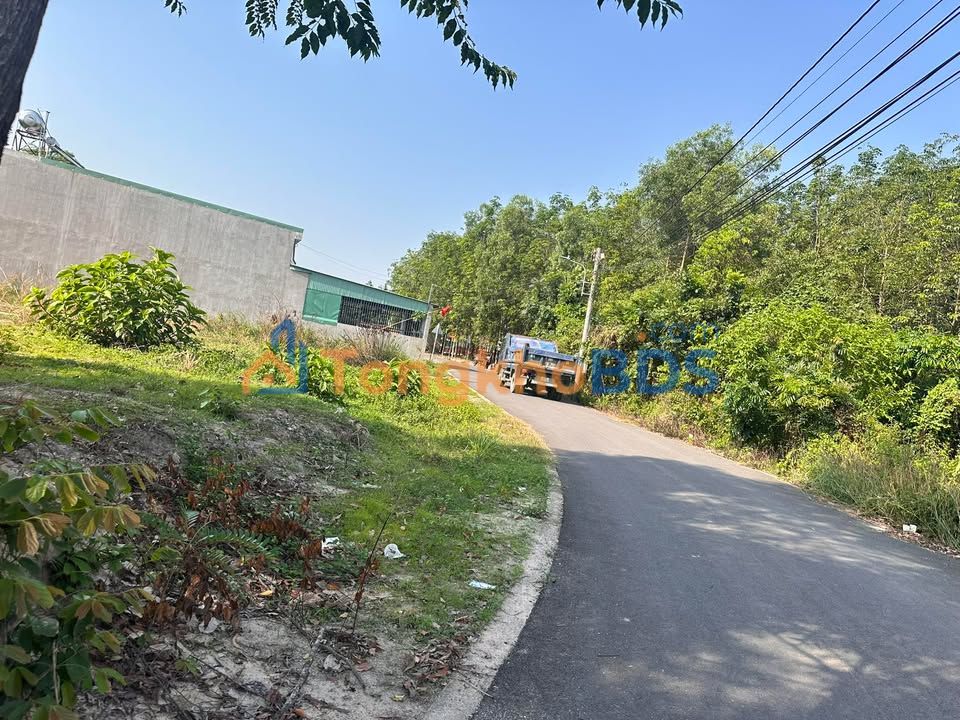 Đất Nền 700m² Hòa Lợi, Bến Cát - Sổ Hồng Thổ Cư 100% - Giá 1.9 Tỷ